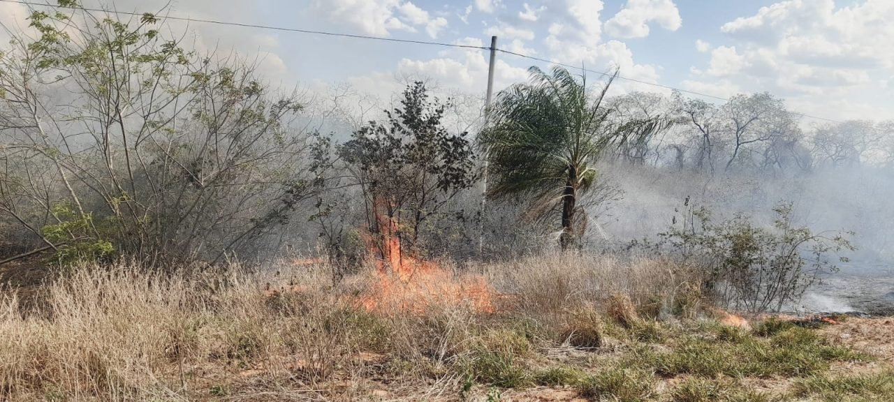 GOBERNACIÓN REPORTA SOLO TRES INCENDIOS ACTIVOS EN SANTA CRUZ