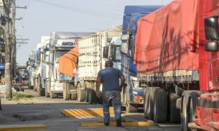 FRUTAS Y VERDURAS SE DETERIORAN MIENTRAS PRODUCTORES ESPERAN DIÉSEL