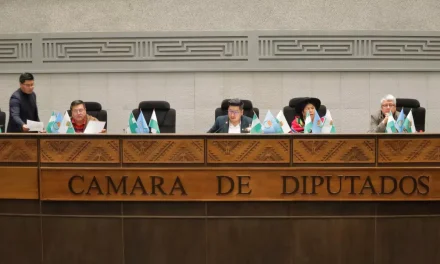 CÁMARA DE DIPUTADOS APRUEBA INFORME SOBRE CASO BOTRADING–YPFB Y LO REMITE A LA CONTRALORÍA