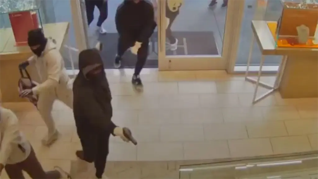 20 ENCAPUCHADOS ROBAN JOYERÍA MILLONARIA EN EE.UU.