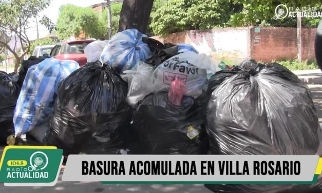 LA BASURA ACUMULADA EN LA CIUDAD PROVOCA MOLESTIAS Y MALOS OLORES