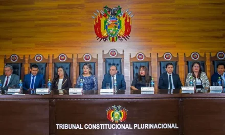 TRIBUNAL CONSTITUCIONAL DENUNCIA PERSECUCIÓN JUDICIAL Y CUESTIONA ACCIONAR DEL TSJ