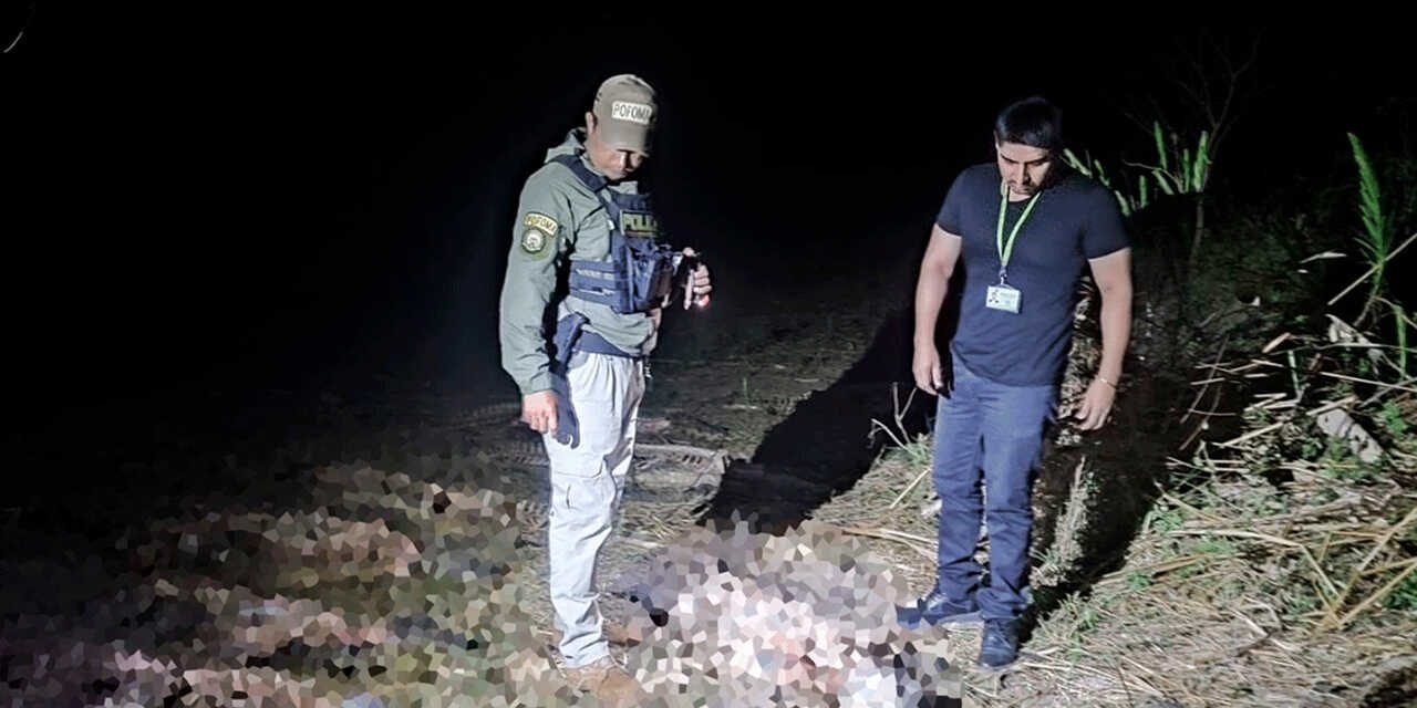 FISCALÍA INVESTIGA BIOCIDIO TRAS HALLAZGO DE 40 LAGARTOS DESCUARTIZADOS EN EL BENI