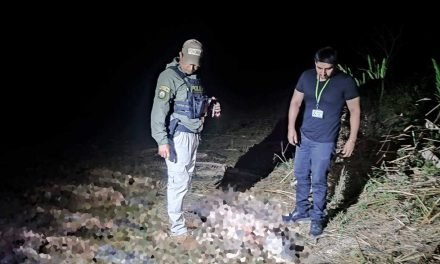 FISCALÍA INVESTIGA BIOCIDIO TRAS HALLAZGO DE 40 LAGARTOS DESCUARTIZADOS EN EL BENI