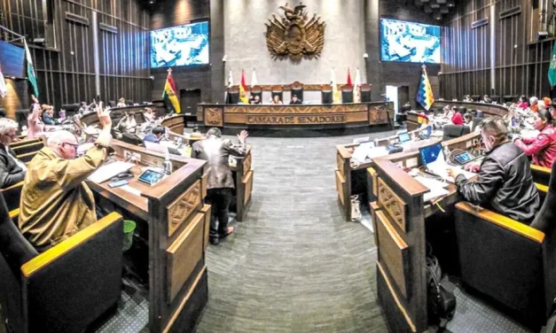 SENADO APRUEBA PROYECTO DE LEY QUE DECLARA EL 15 DE NOVIEMBRE COMO “DÍA DEL HOMBRE BOLIVIANO”