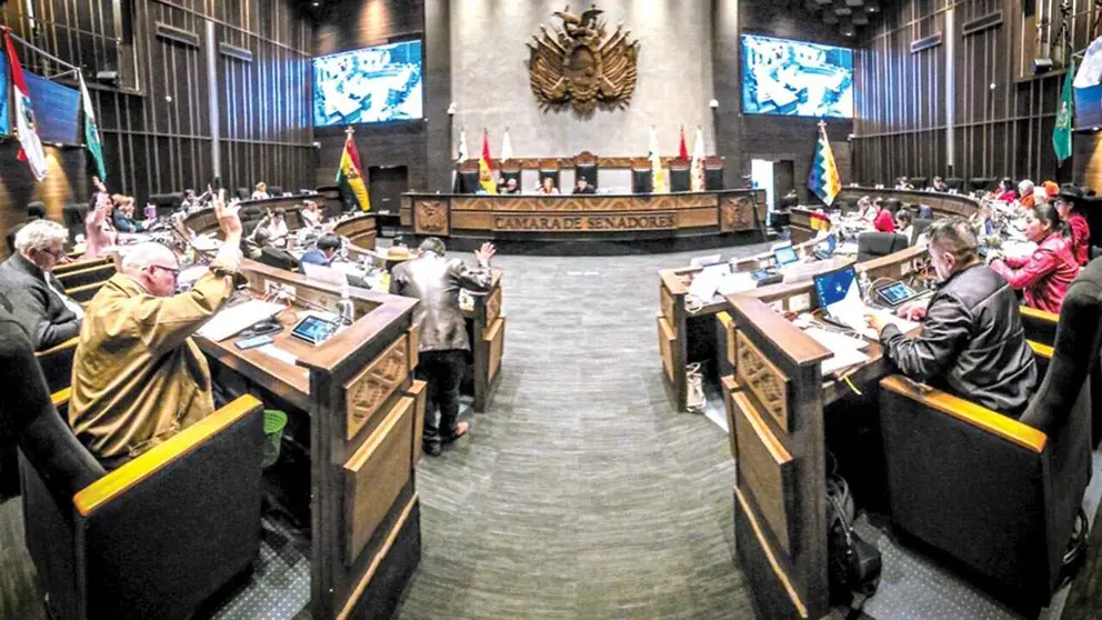 SENADO APRUEBA PROYECTO DE LEY QUE DECLARA EL 15 DE NOVIEMBRE COMO “DÍA DEL HOMBRE BOLIVIANO”