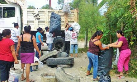 SANTA CRUZ LANZA CAMPAÑA CONTRA EL DENGUE CON MÁS DEL 80% DE DISTRITOS EN RIESGO