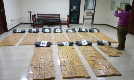 UMOPAR BENI INCAUTA MÁS DE 425 KILOS DE CLORHIDRATO DE COCAÍNA