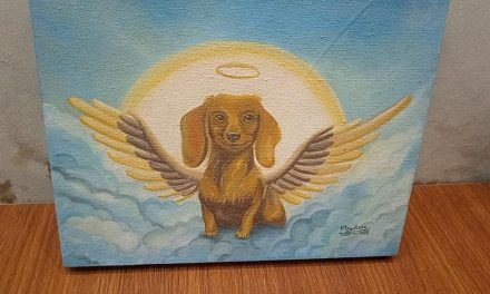 CLÍNICA SAN MATEO CREA ESPACIO ÍNTIMO PARA ÚLTIMA DESPEDIDA DE MASCOTAS