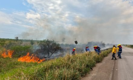 SANTA CRUZ REGISTRA 16 INCENDIOS FORESTALES ACTIVOS Y MÁS DE 3.000 FOCOS DE CALOR