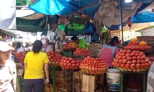 FALTA DE COMBUSTIBLE ELEVA LOS PRECIOS DE LA CANASTA FAMILIAR