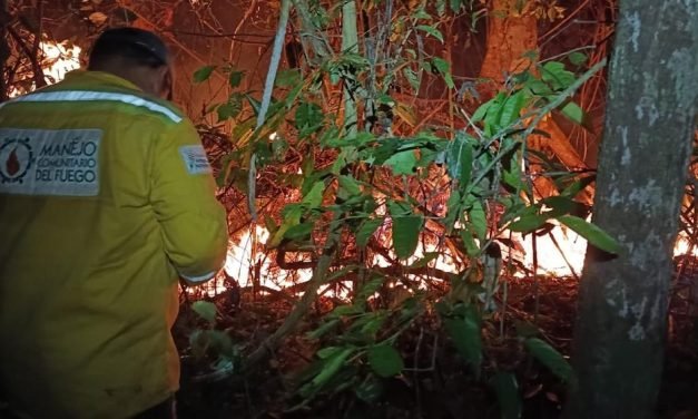SANTA CRUZ REGISTRA NUEVE INCENDIOS FORESTALES ACTIVOS
