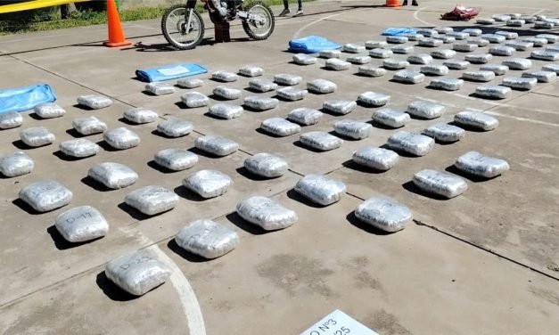 TARIJA: FISCALÍA Y FELCN DECOMISAN 226 KILOS DE MARIHUANA EN OPERATIVOS ANTIDROGAS