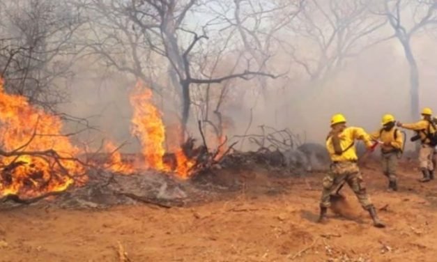 EL COED INFORMA QUE SE REDUCEN LOS INCENDIOS EN EL DEPARTAMENTO DE SANTA CRUZ