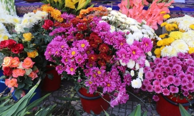 CRISIS DE COMBUSTIBLE ELEVA LOS PRECIOS DE LAS FLORES PARA TODOS SANTOS