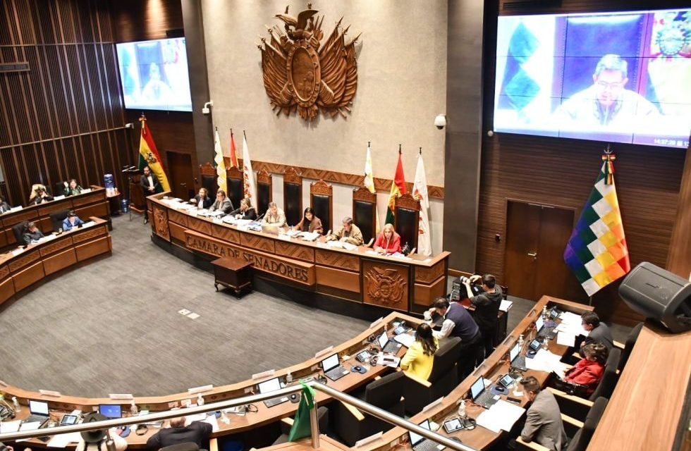 SENADO APRUEBA LEY PARA ELECCIONES SUBNACIONALES DE 2026 CON MODIFICACIONES