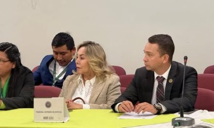 RÓMER SAUCEDO Y ROSMERY RUIZ SON RATIFICADOS AL FRENTE DEL TSJ PARA 2026