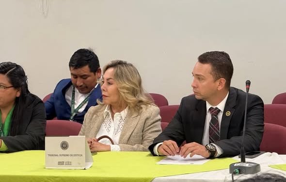 RÓMER SAUCEDO Y ROSMERY RUIZ SON RATIFICADOS AL FRENTE DEL TSJ PARA 2026