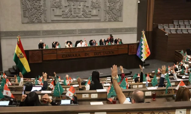 DIPUTADOS ANALIZARÁN PROYECTO QUE VIABILIZA ELECCIONES SUBNACIONALES 2026