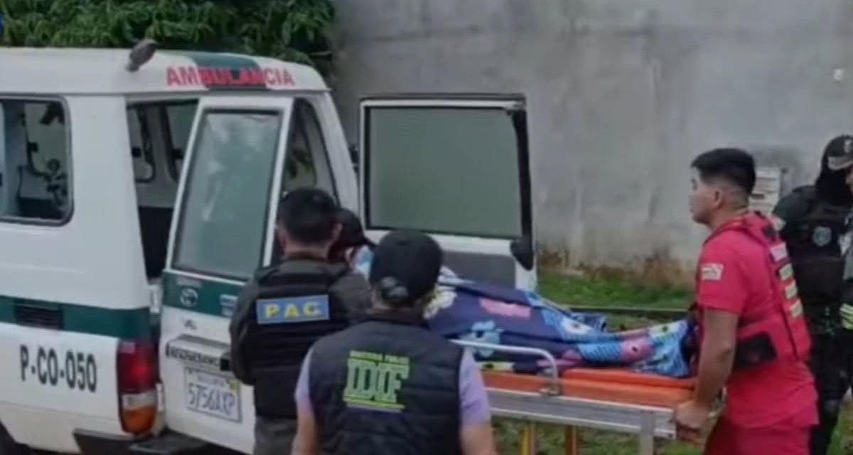 MADRE ATACÓ A SUS DOS HIJOS CON UN CUCHILLO EN PANDO: UNO MURIÓ Y LA OTRA QUEDÓ HERIDA