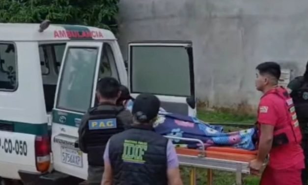 MADRE ATACÓ A SUS DOS HIJOS CON UN CUCHILLO EN PANDO: UNO MURIÓ Y LA OTRA QUEDÓ HERIDA