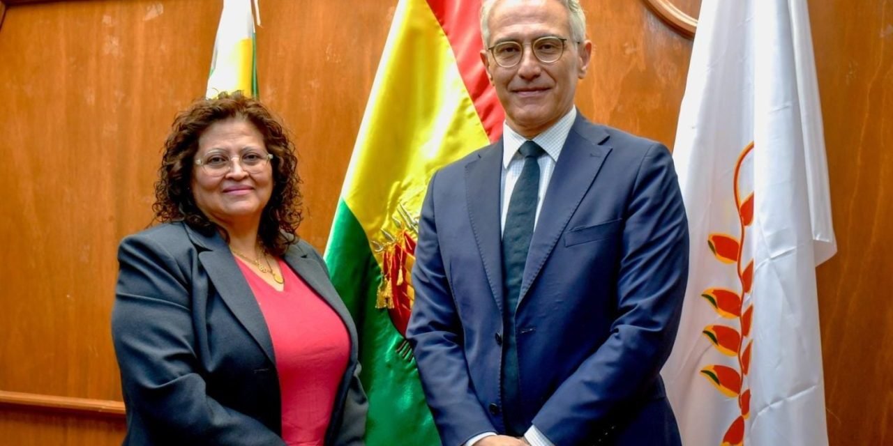 BOLIVIA Y TURQUÍA ACUERDAN IMPULSAR NUEVOS PROYECTOS EN EL SECTOR SALUD