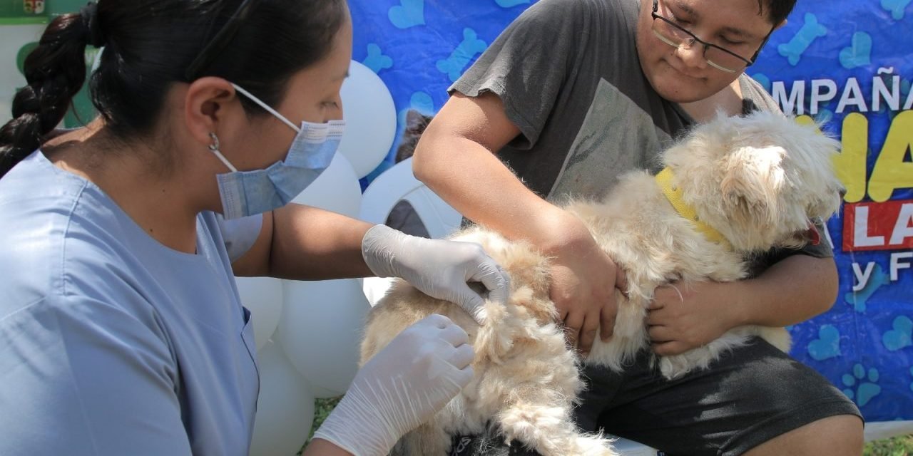 SEDES REALIZARÁ VACUNACIÓN MASIVA CONTRA LA RABIA CANINA ESTE FIN DE SEMANA