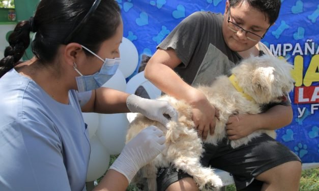 SEDES REALIZARÁ VACUNACIÓN MASIVA CONTRA LA RABIA CANINA ESTE FIN DE SEMANA