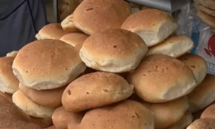 GOBIERNO PRESENTARÁ INFORME SOBRE PLAN DE SUBVENCIÓN DE HARINA ANTE POSIBLE ALZA DEL PAN