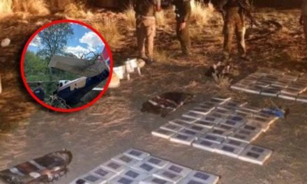 CUATRO DETENIDOS TRAS CAÍDA DE AVIONETA BOLIVIANA CON DROGA EN ARGENTINA