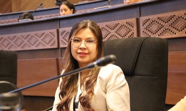 DIPUTADA ROMERO ASEGURA FISCALIZACIÓN RIGUROSA DEL PRÉSTAMO DE 30 MILLONES DEL BID