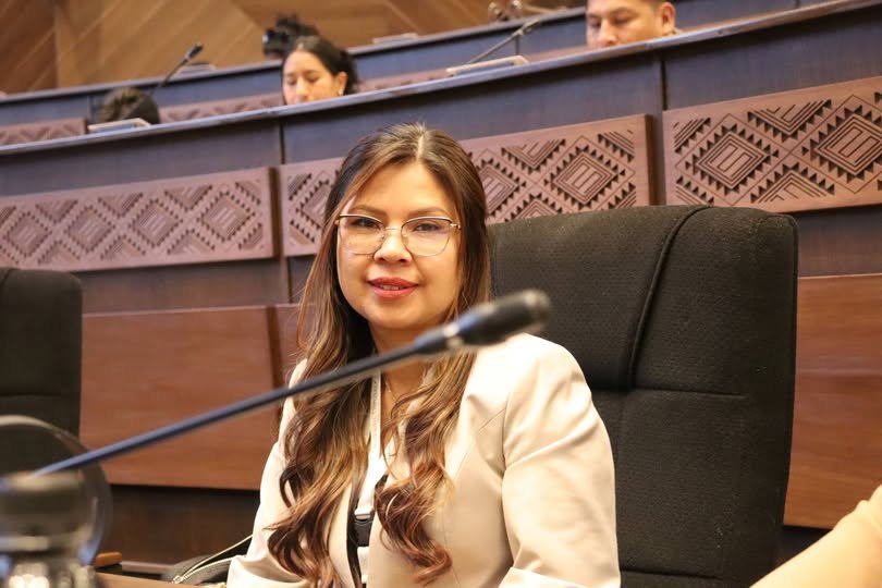 DIPUTADA ROMERO ASEGURA FISCALIZACIÓN RIGUROSA DEL PRÉSTAMO DE 30 MILLONES DEL BID