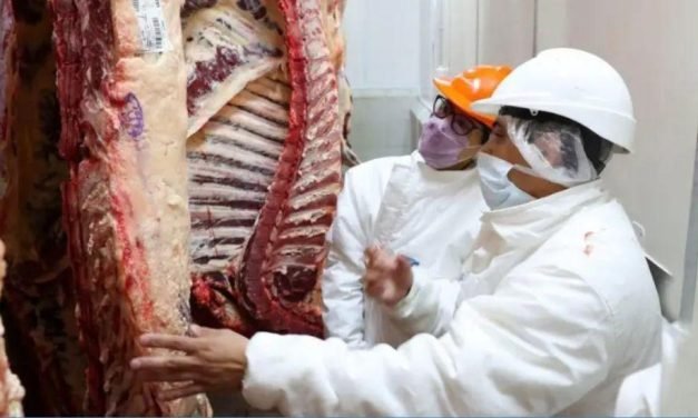 BOLIVIA INGRESA AL MERCADO EGIPCIO Y CONSOLIDA LA EXPORTACIÓN DE CARNE