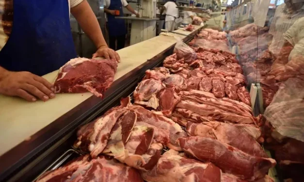 “NO NOS TOMEN POR TONTOS”, ALERTA PAZ PEREIRA SOBRE ESPECULACIÓN EN EL MERCADO CÁRNICO