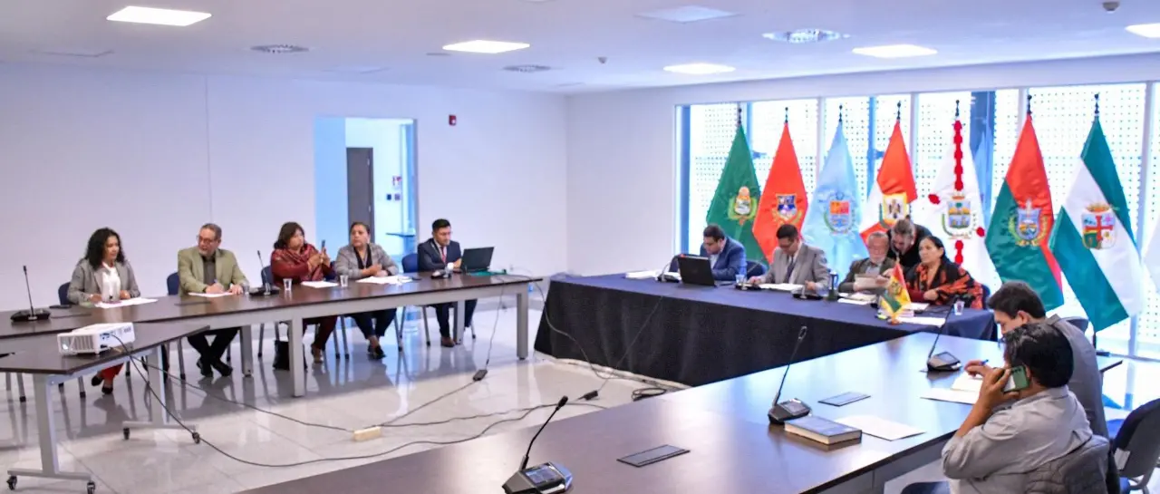 COMISIÓN MIXTA APRUEBA CONVOCATORIA PARA SELECCIONAR NUEVOS VOCALES DEL TSE