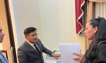 ELIANA MALLEA SE CONVIERTE EN LA PRIMERA POSTULANTE A VOCAL DEL TSE