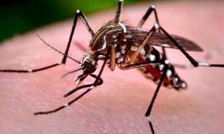 SEDES DESPLIEGA OPERATIVO DE EMERGENCIA EN YAPACANÍ TRAS SATURACIÓN HOSPITALARIA POR DENGUE Y CHIKUNGUNYA