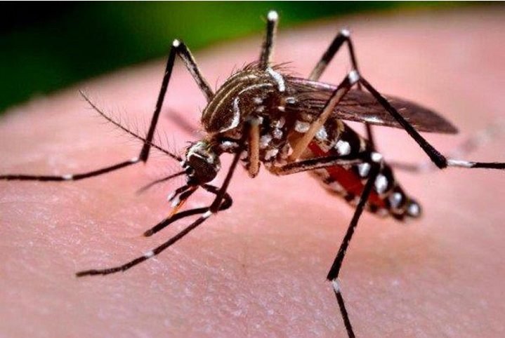 SEDES DESPLIEGA OPERATIVO DE EMERGENCIA EN YAPACANÍ TRAS SATURACIÓN HOSPITALARIA POR DENGUE Y CHIKUNGUNYA