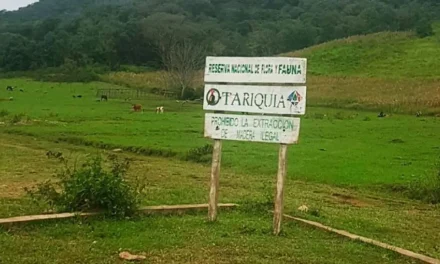 JUSTICIA AGROAMBIENTAL ORDENA LA PARALIZACIÓN TEMPORAL DEL PROYECTO PETROLERO DOMO OSO X-3 EN TARIQUÍA