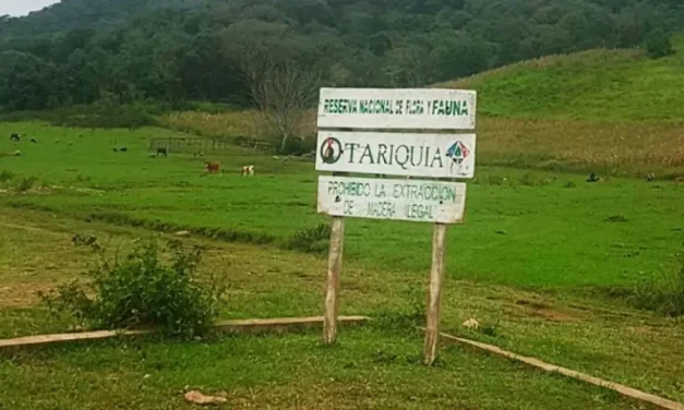 JUSTICIA AGROAMBIENTAL ORDENA LA PARALIZACIÓN TEMPORAL DEL PROYECTO PETROLERO DOMO OSO X-3 EN TARIQUÍA