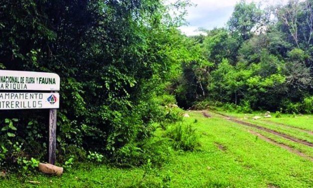 LARA ASUME LA DEFENSA DE TARIQUÍA Y VINCULA EL CONFLICTO CON DURAS CRÍTICAS A LA GESTIÓN GUBERNAMENTAL