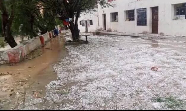 FUERTE GRANIZADA DEVASTA CULTIVOS Y ANIMALES EN TOJO, YUNCHARÁ