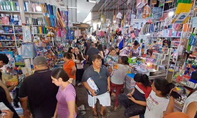 ALTA DEMANDA DE ÚTILES ESCOLARES A POCAS HORAS DEL INICIO DE CLASES