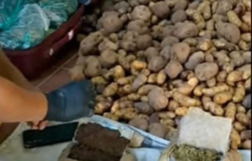 APREHENDEN A MUJER CON MÁS DE 7 KILOS DE MARIHUANA