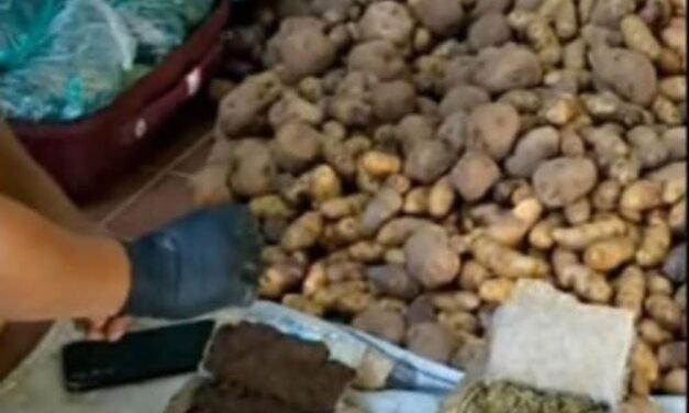 APREHENDEN A MUJER CON MÁS DE 7 KILOS DE MARIHUANA