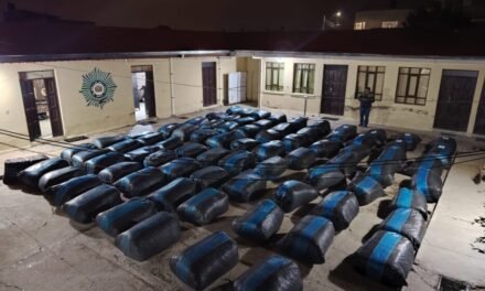 FELCN INCAUTA MÁS DE TRES TONELADAS DE MARIHUANA EN ORURO–POTOSÍ