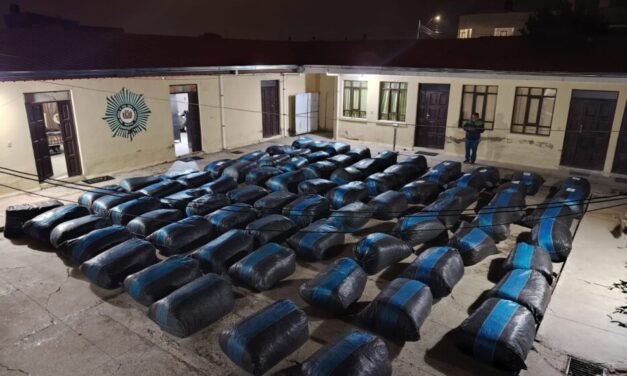 FELCN INCAUTA MÁS DE TRES TONELADAS DE MARIHUANA EN ORURO–POTOSÍ