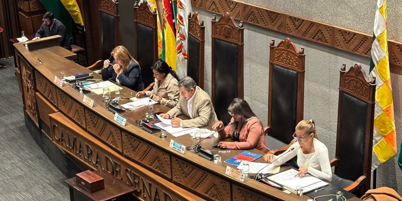 APRUEBAN LEY QUE AMPLÍA PERMANENCIA DE AUTORIDADES SALIENTES A SEIS MESES