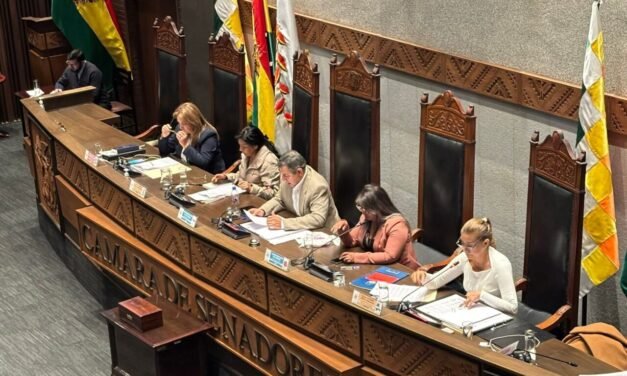 APRUEBAN LEY QUE AMPLÍA PERMANENCIA DE AUTORIDADES SALIENTES A SEIS MESES