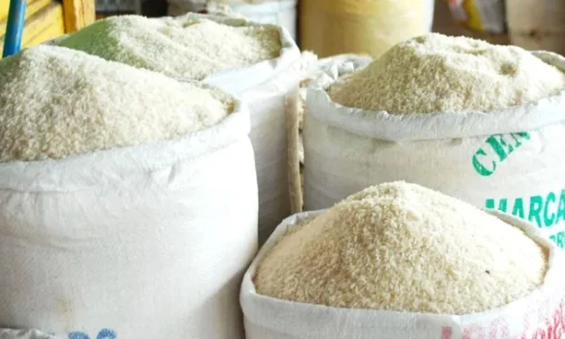 SOBREOFERTA DE ARROZ IMPORTADO GOLPEA A PRODUCTORES DE SANTA CRUZ Y BENI